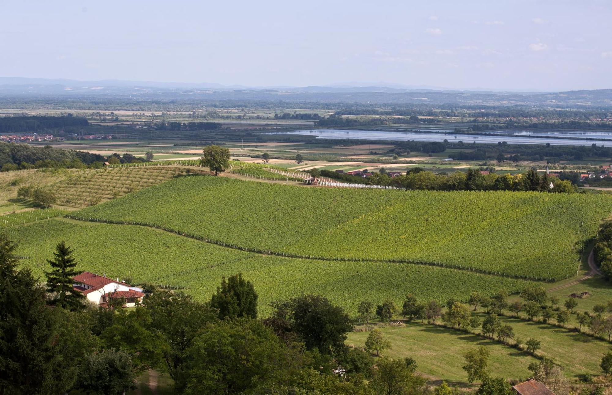 Stupnicki Dvori Winery Hotel Brodski Stupnik Ngoại thất bức ảnh