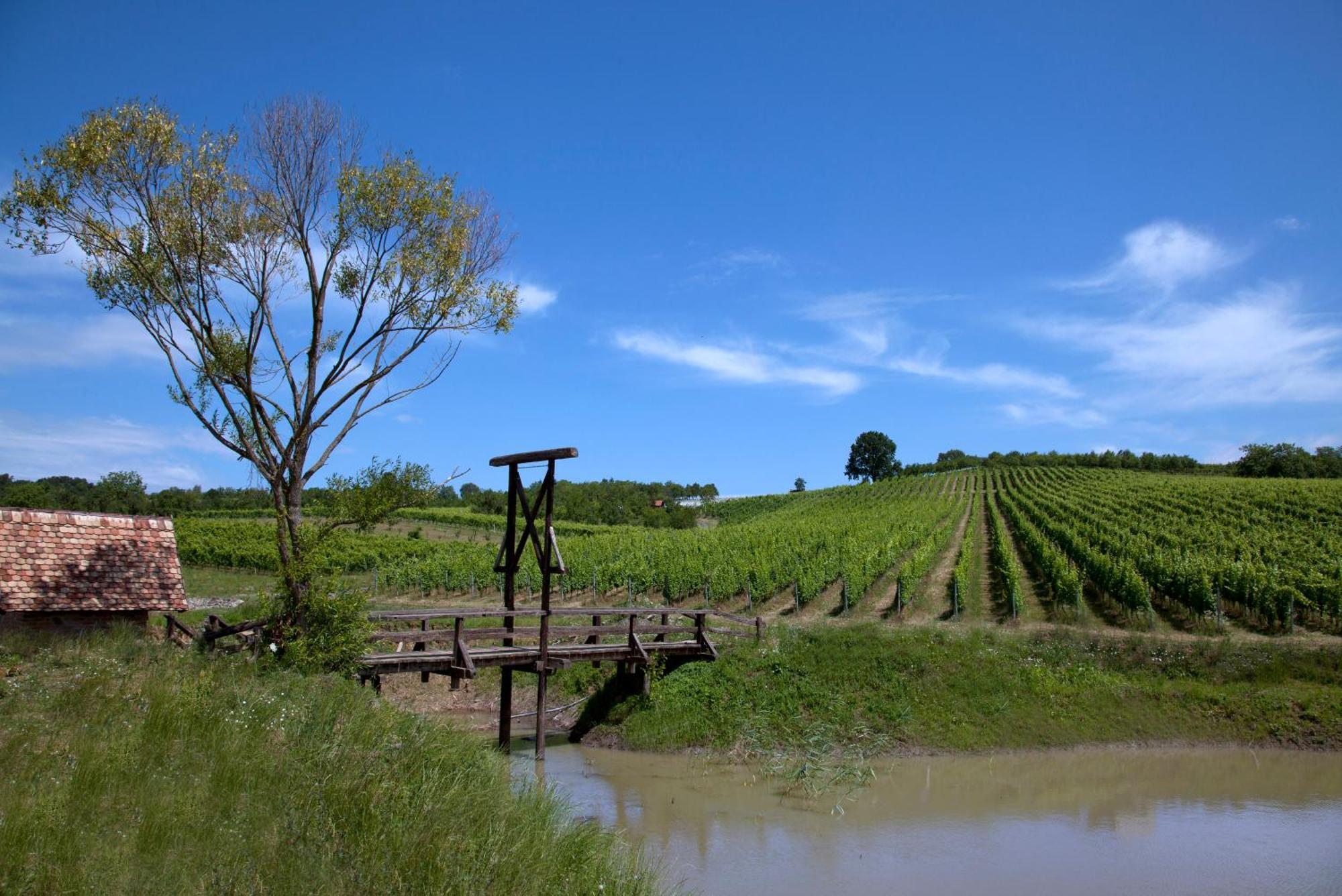 Stupnicki Dvori Winery Hotel Brodski Stupnik Ngoại thất bức ảnh