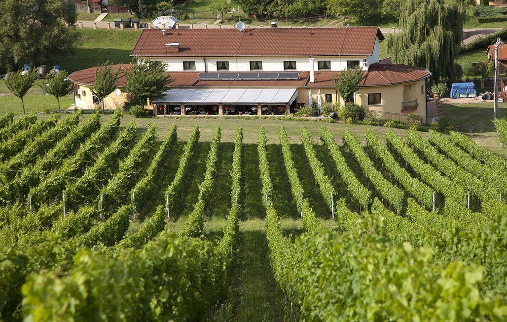 Stupnicki Dvori Winery Hotel Brodski Stupnik Ngoại thất bức ảnh