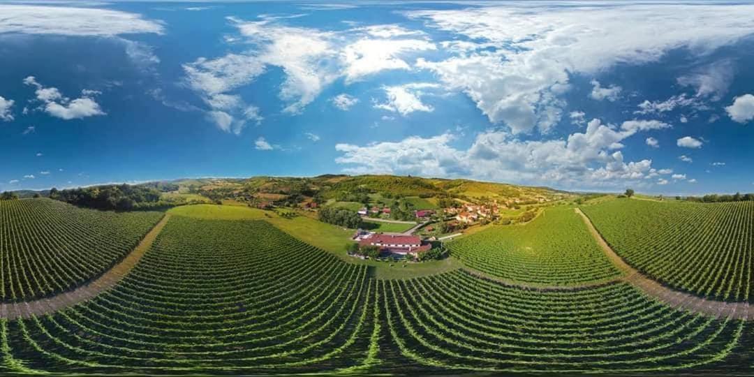 Stupnicki Dvori Winery Hotel Brodski Stupnik Ngoại thất bức ảnh